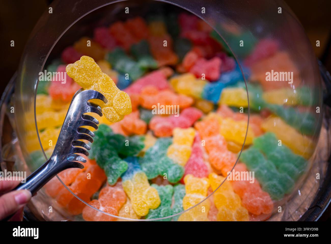 Metallzangen nehmen einen gelb zuckerbeschichteten Gummibärchen aus einem Behälter mit bunten Süßigkeiten. Mix-and-Pick-Süßwarenauswahl in einem Süßwarenladen mit Stockfoto