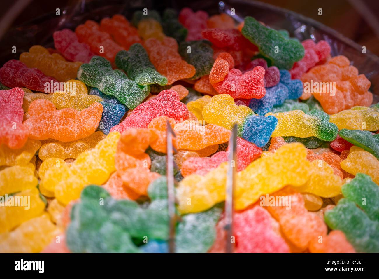 Metallzangen nehmen einen gelb zuckerbeschichteten Gummibärchen aus einem Behälter mit bunten Süßigkeiten. Mix-and-Pick-Süßwarenauswahl in einem Süßwarenladen mit Stockfoto