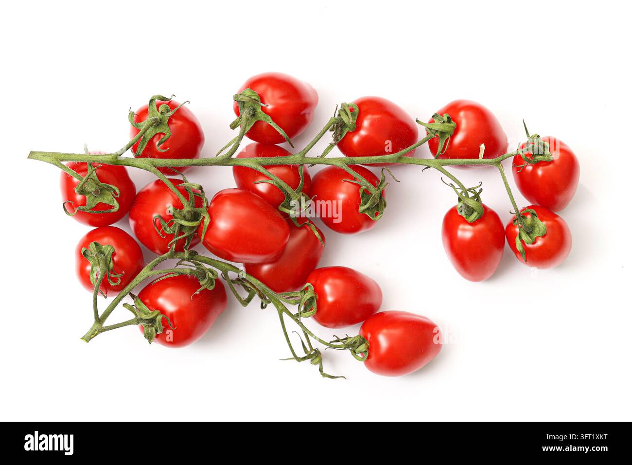 Frische rote Kirschtomaten an grüner Ranke isoliert auf weißem Hintergrund. Gemüsekomposition für gesunde Ernährung, Bio-Produkte und Sommerernte Stockfoto