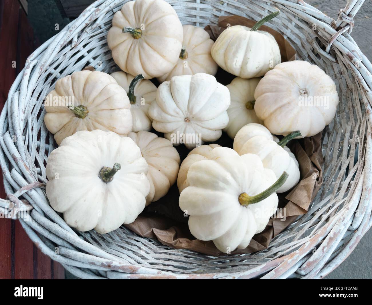 Weiße Mini-Kürbisse in einem rustikalen geflochtenen Korb als herbstliche Festtagsdekoration - Smartphone-aufgenommenes Stockfoto