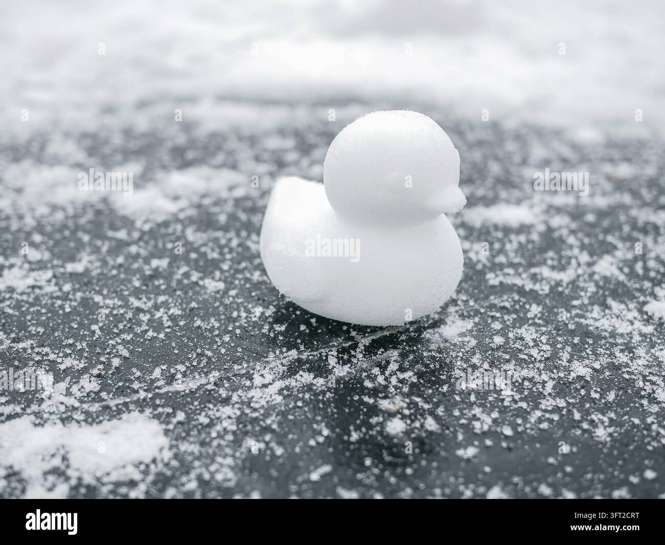 Kleine Schneeente-Figur, die während des Winters auf einer gefrorenen Eisfläche steht. Minimalistische saisonale Szene, die Kreativität, Outdoor-Spaß, kaltes Wetter und Stockfoto