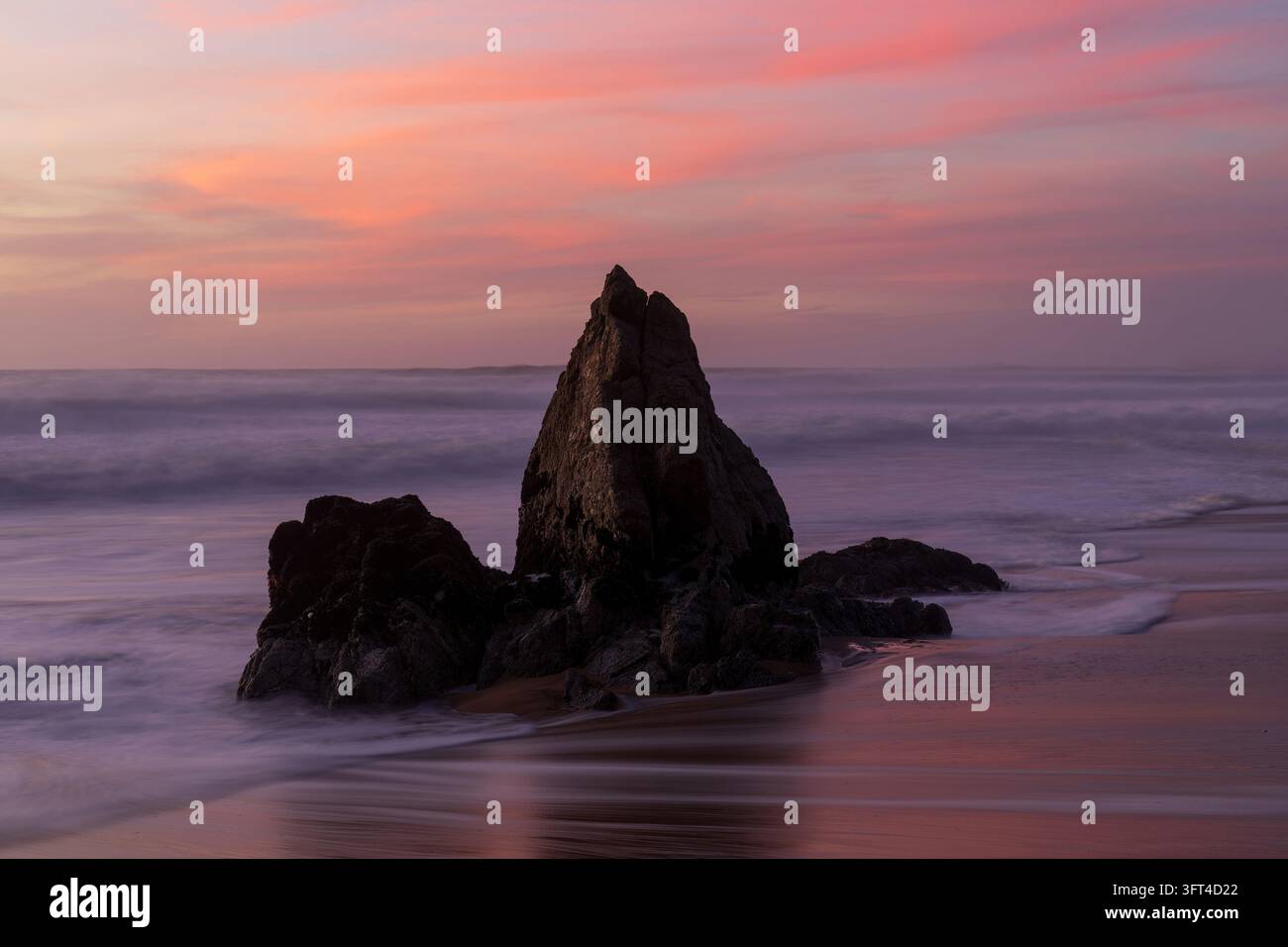 Weiches rosa Pastell-Nachglühen über einem ikonischen spitzen Meeresfelsen, umgeben von seidigen Wellen und reflektierendem nassem Sand am Gray Whale Cove State Beach Stockfoto