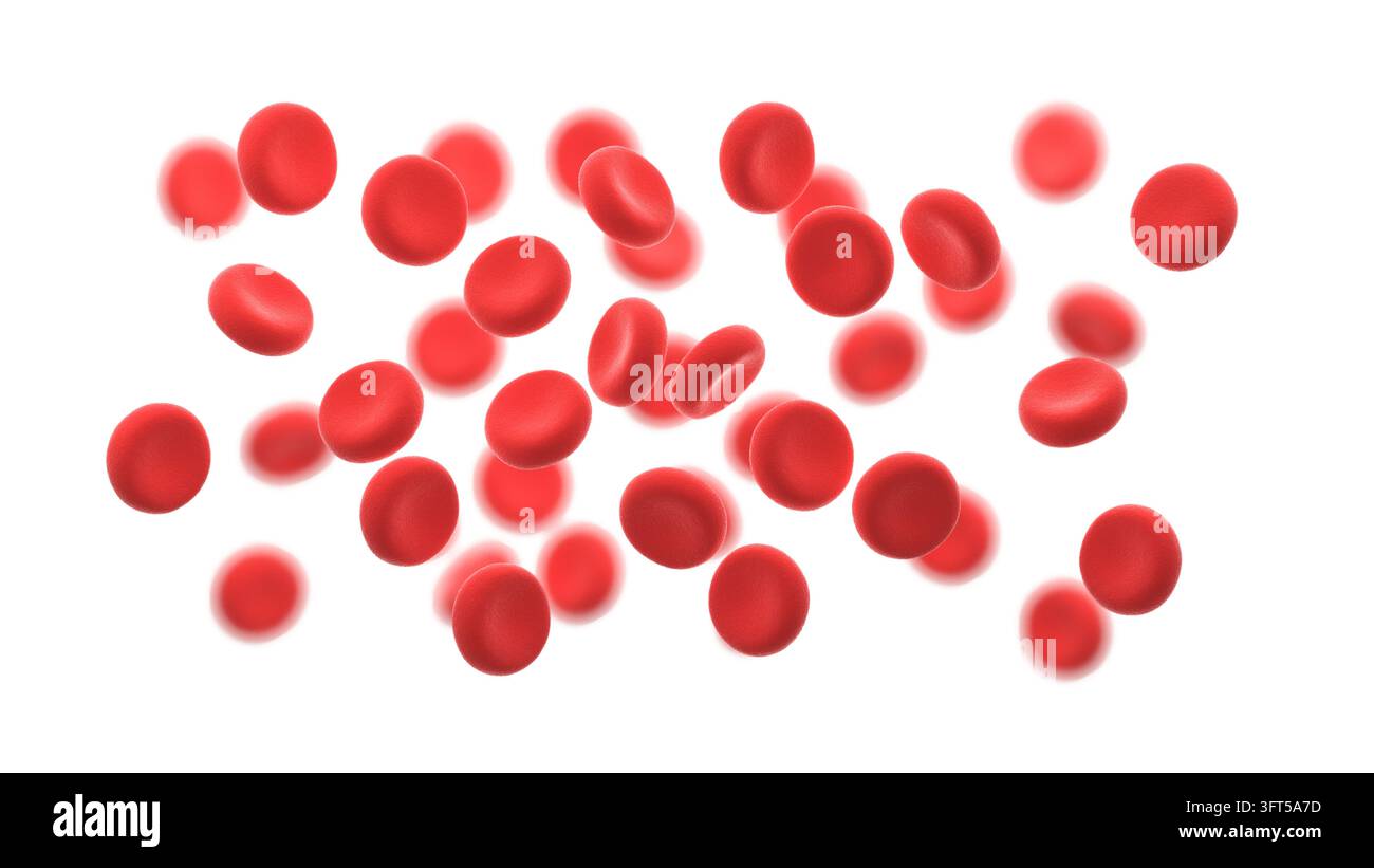 Blutzellen auf weißem Hintergrund. 3D-Illustration. Stockfoto