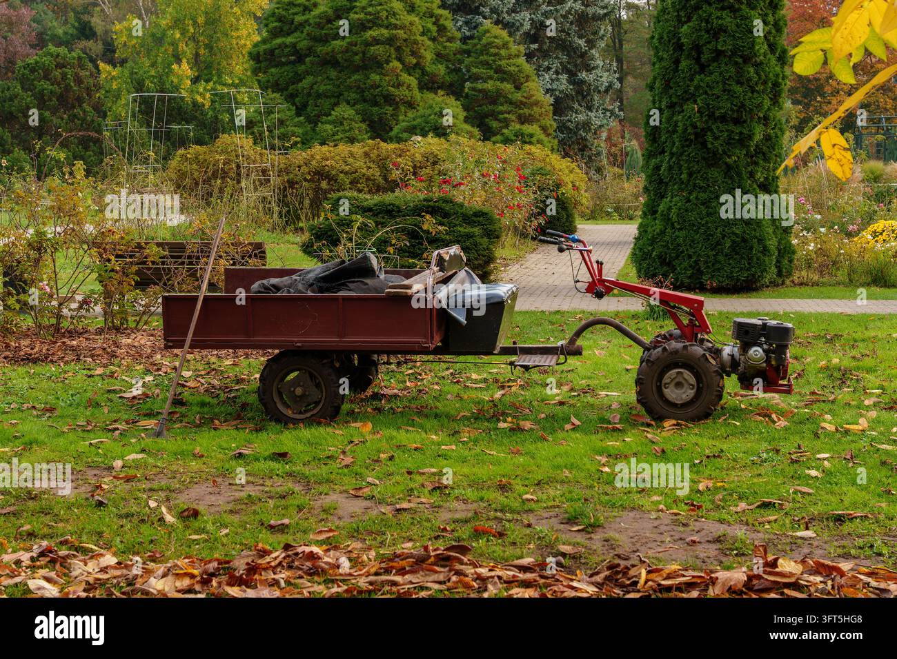Rückwärtsfahrender Traktor mit Anhänger steht auf dem Rasen im Herbst. Parkwartungsausrüstung, Gartenreinigung, landwirtschaftliche Maschine Stockfoto