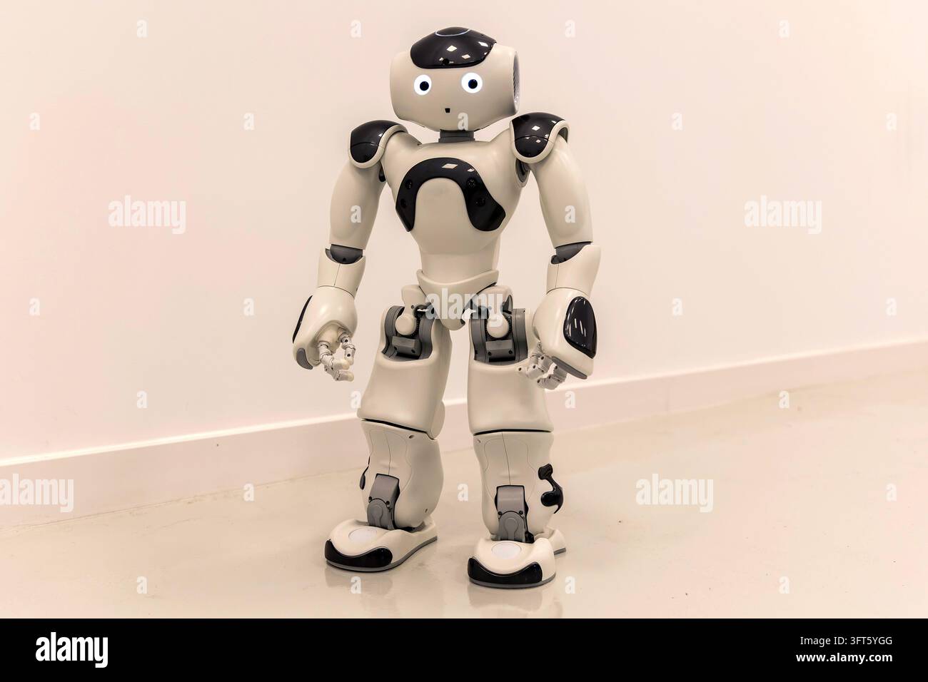 Ein humanoider Roboter ist ein Roboter, der in seiner Form dem menschlichen Körper ähnelt. Stockfoto