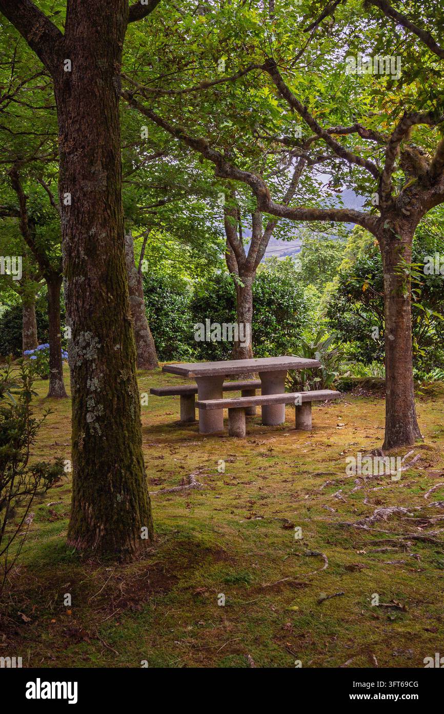 Ein Betonpicknicktisch und Bänke bieten einen entspannenden Platz für Besucher, umgeben von üppigen grünen Bäumen und natürlichem moosigem Boden Stockfoto