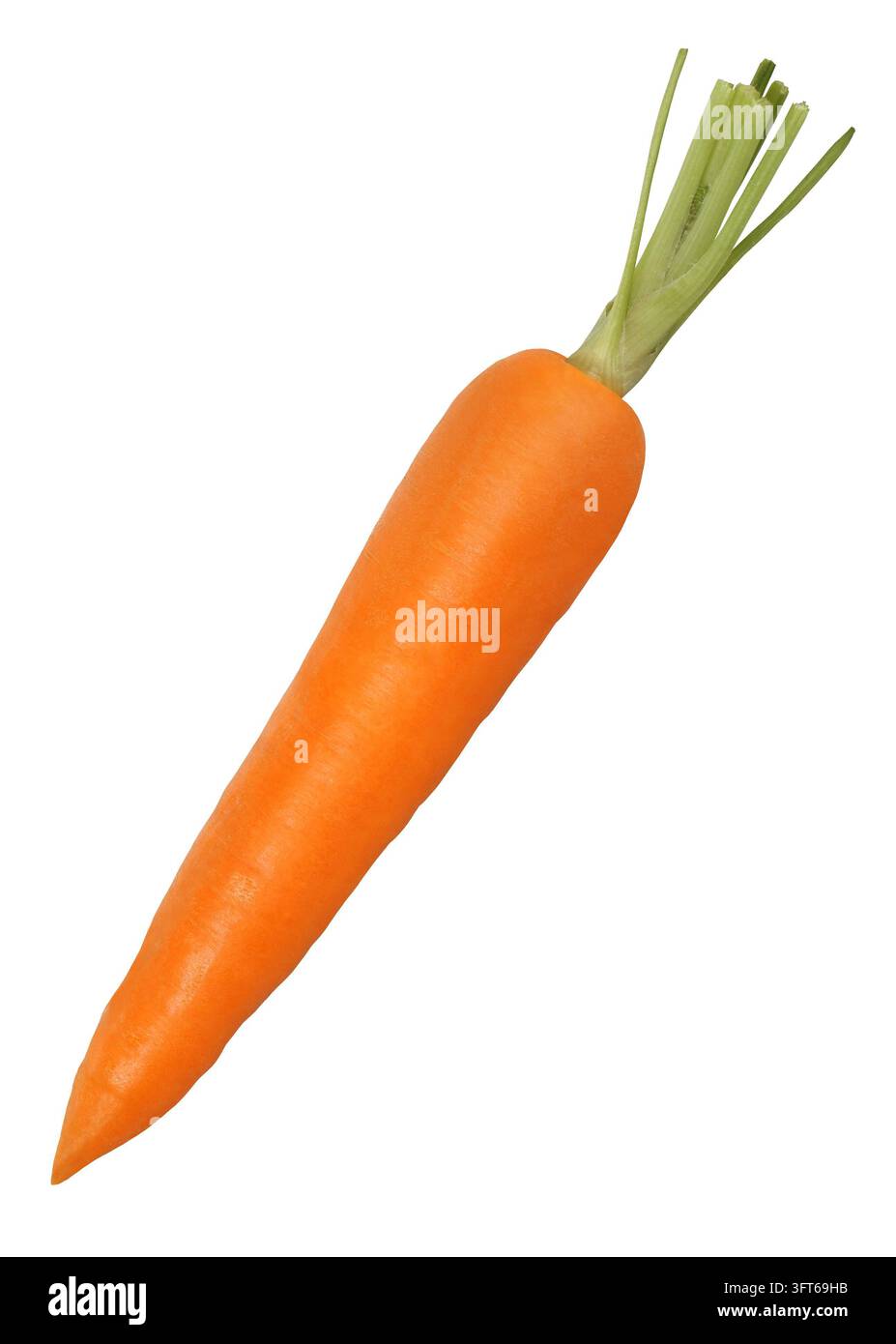 frische orange Karotte isoliert auf weißem Hintergrund Stockfoto