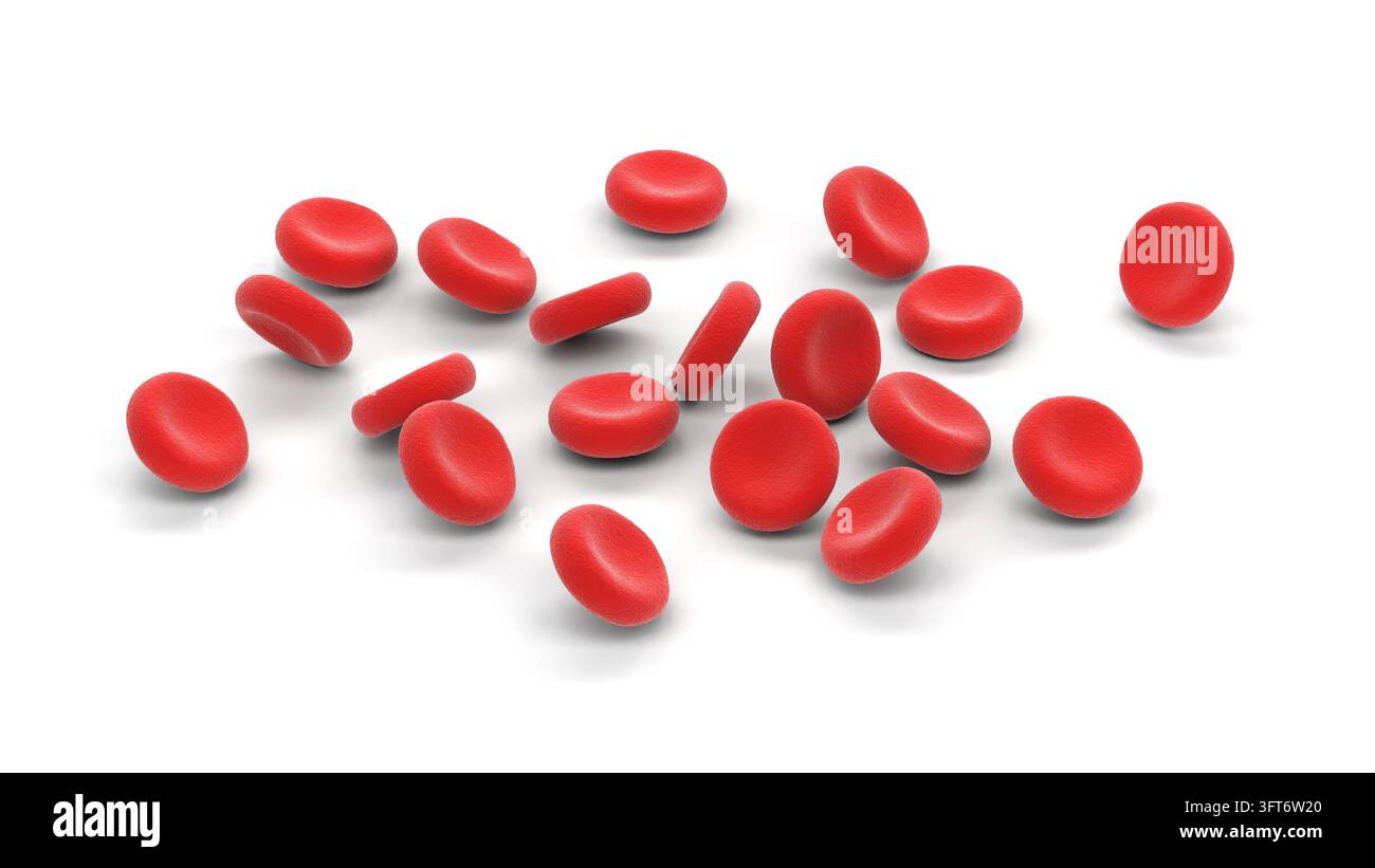 Blutzellen auf weißem Hintergrund. 3D-Illustration. Stockfoto