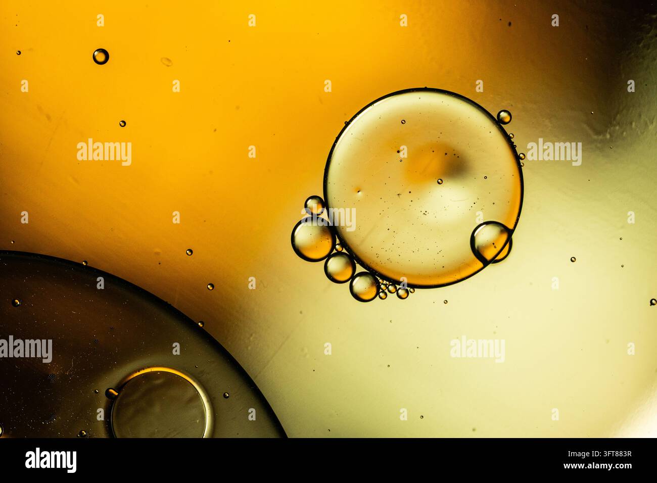 Öl und Wasser schaffen einen abstrakten Makro-Hintergrund mit goldenen flüssigen Blasen und bernsteinfarbenen Kugeltexturen, die leuchten Stockfoto