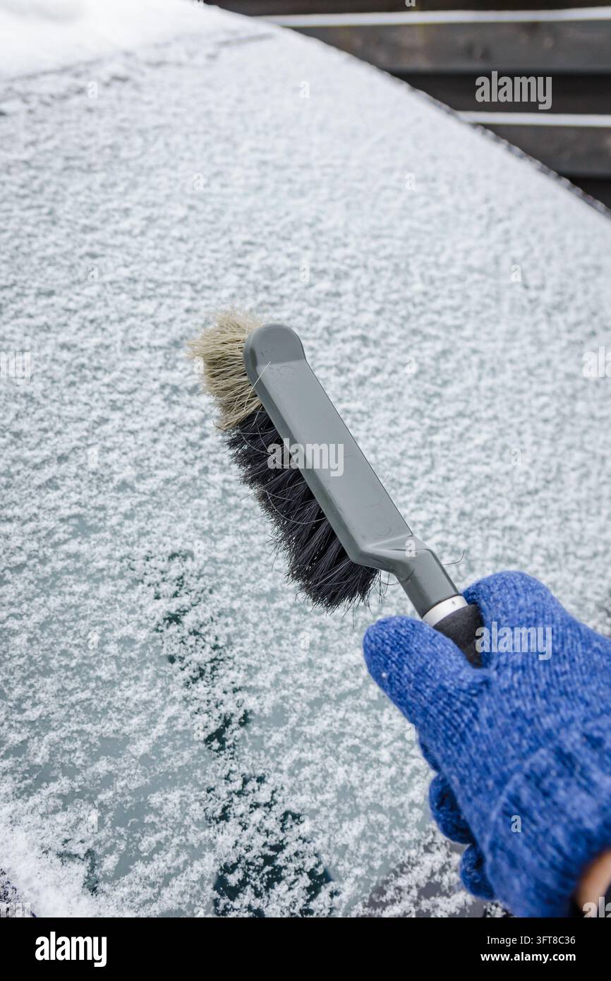 Hand in blauem Handschuh, die Schnee und Frost von der Autoscheibe mit einer Schneebürste abwischt Stockfoto