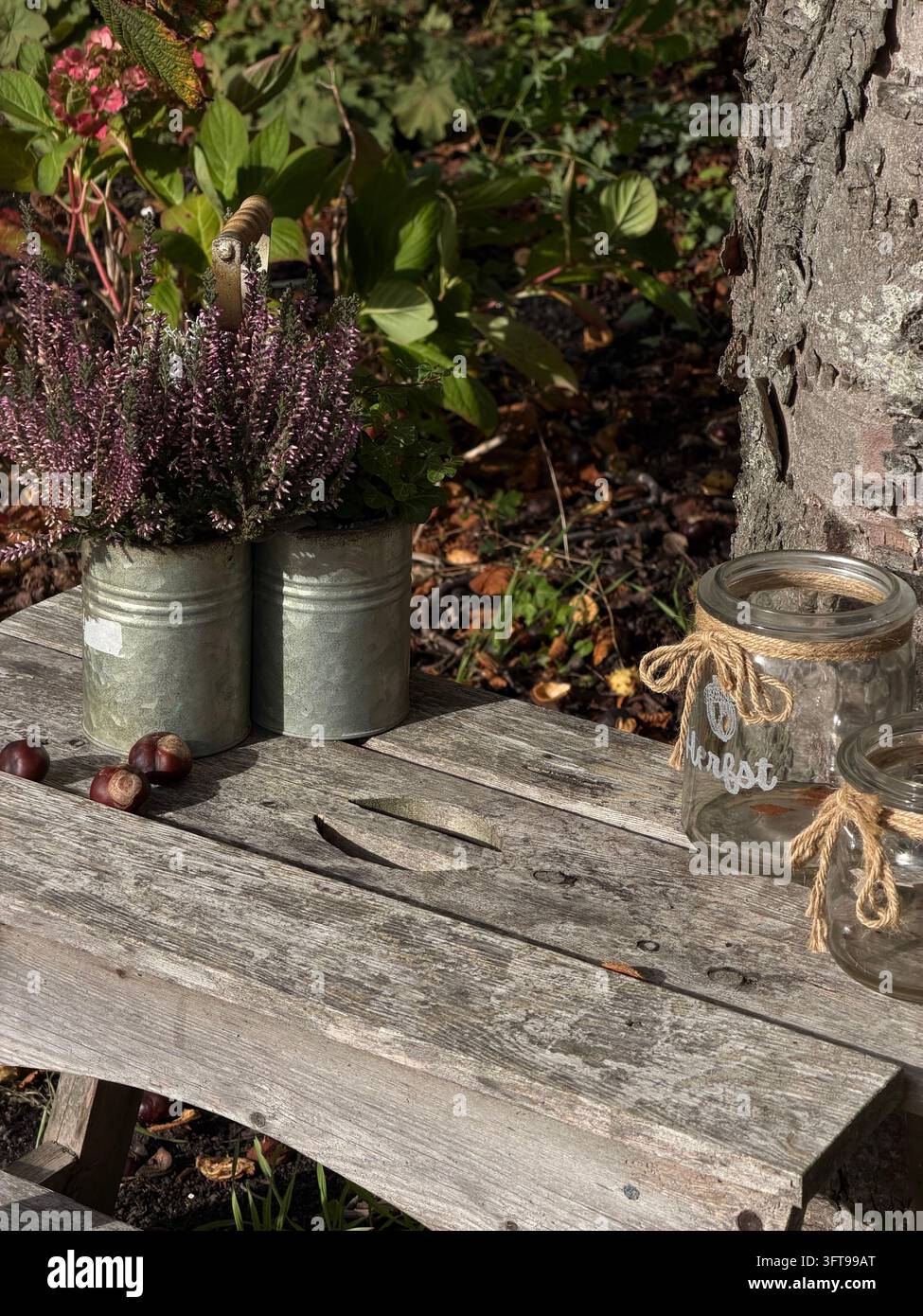 Rustischer Außentisch dekoriert mit Topfpflanzen und einem Gläser, der eine einfache natürliche Anordnung in einem Herbstgarten schafft. - Smartphone-aufgenommenes Stockfoto