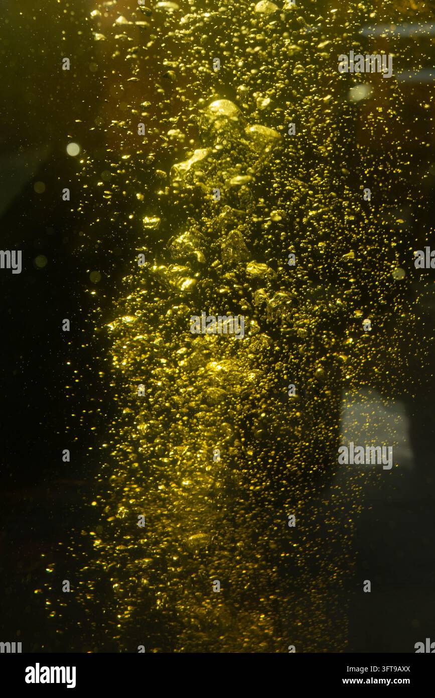 Eine Säule aus goldenen Blasen steigt durch dunkle Flüssigkeit im Tank, mit leuchtenden Mikrobubbeln Stockfoto