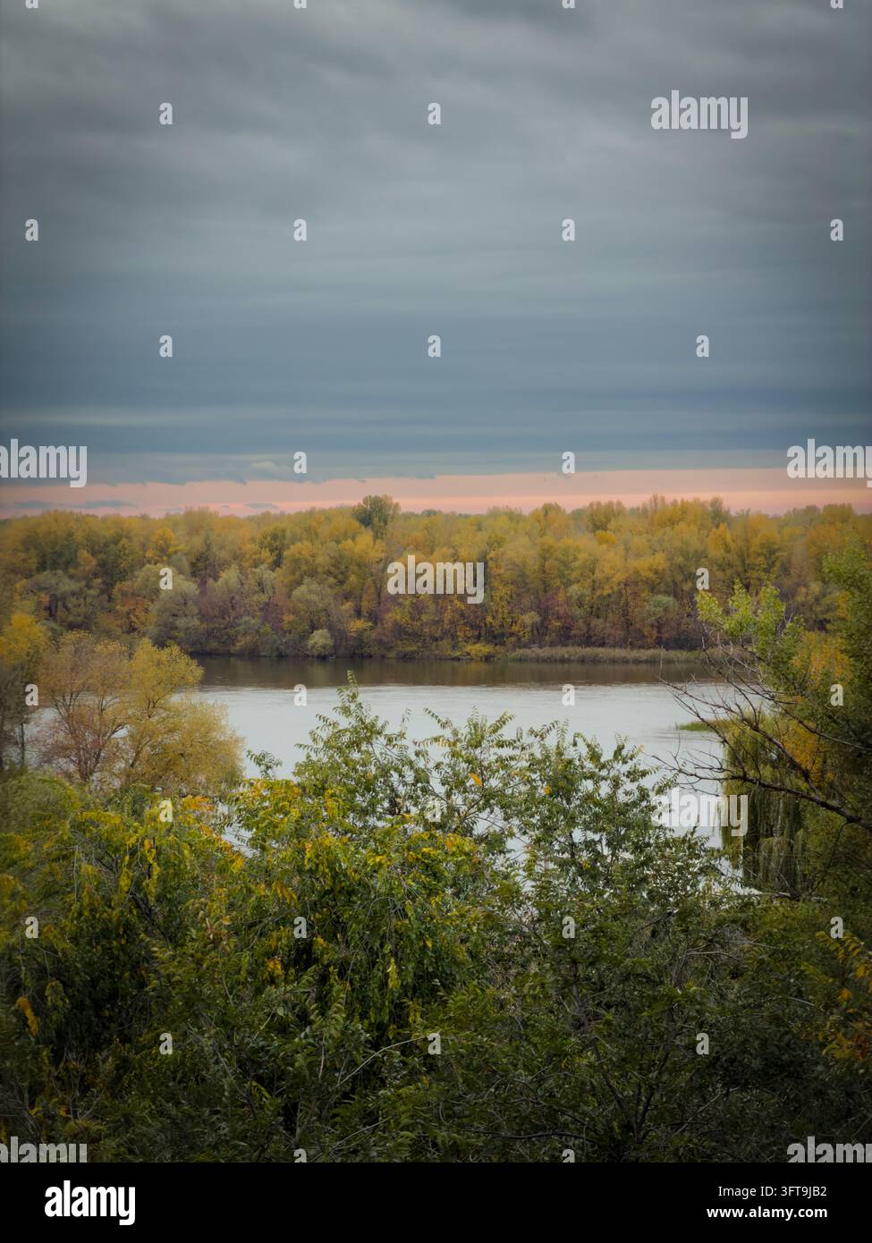 Eine Hochwinkel-, Augenhöhe-Außenaufnahme, die eine malerische Landschaft eines dichten Waldes während der Herbstsaison einfängt. Eine weite Fläche von Laubbäumen Stockfoto