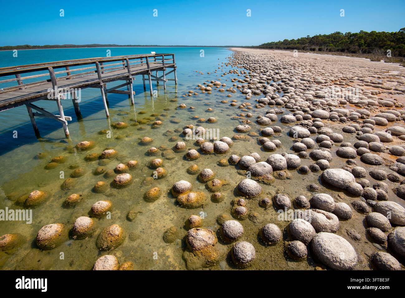 Lake Clifton Thrombolites-Western Australia Stockfoto