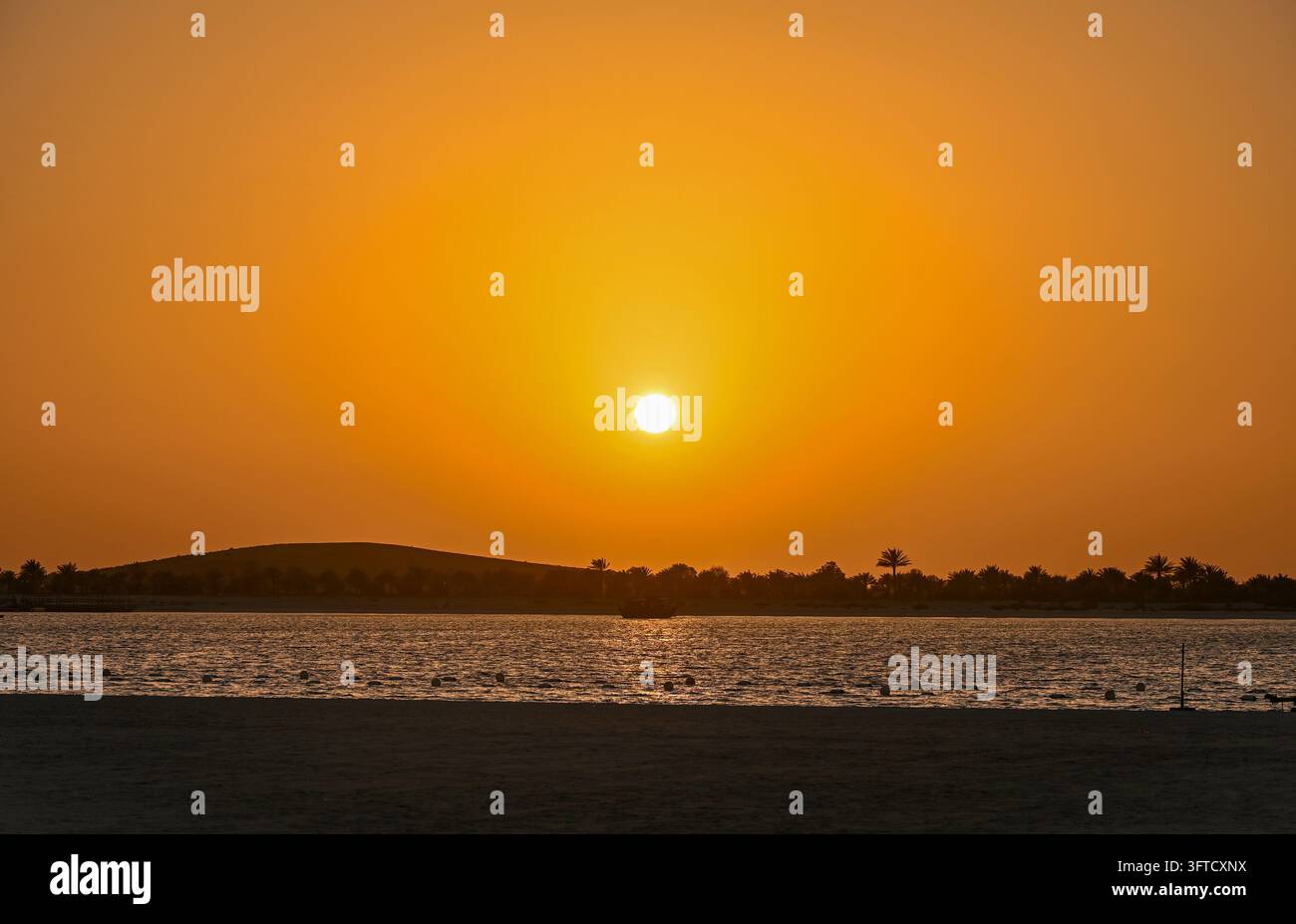 Goldener Sonnenuntergang über dem Ufer in Abu Dhabi, Vereinigte Arabische Emirate, mit orangefarbenem Himmel, leuchtender Sonne, ruhigem Wasser und Silhouetten von Palmen entlang des Stockfoto