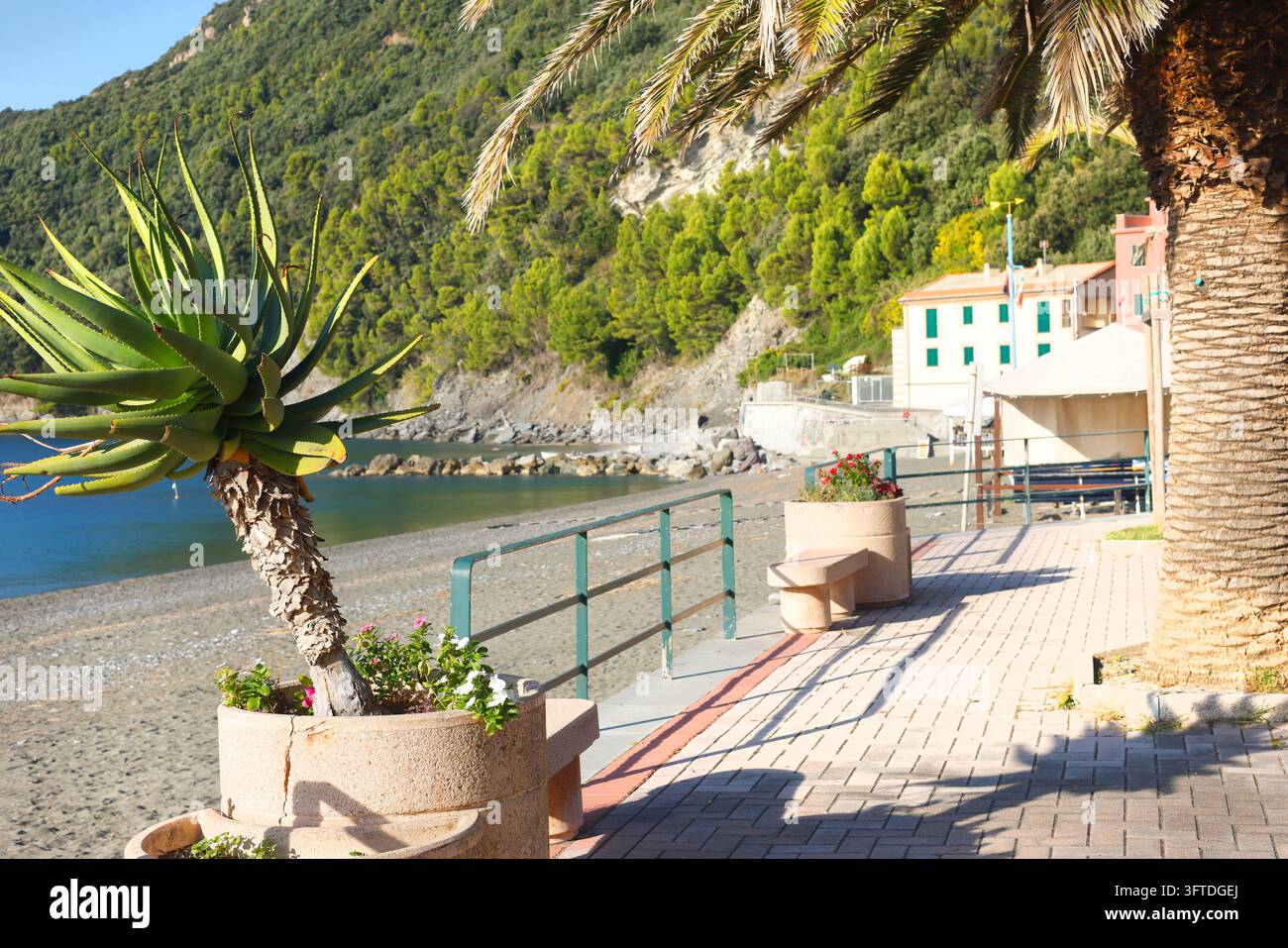 Riva Trigoso Promenade Aloe Strand Italien. Herbstliche Küstenentspannung sonnige ruhige Stimmung. Mediterranes Reiseziel Resortführer. Stockfoto