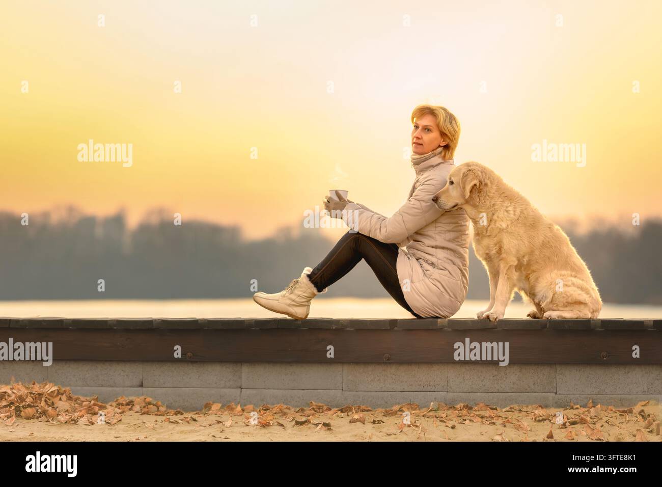 Nachdenkliche Frau sitzt mit Hund am Wasser bei Sonnenuntergang, Kopierraum. Einsamkeit, Kameradschaft, emotionale Unterstützung, Achtsamkeit, innerer Frieden, psychologisch Stockfoto