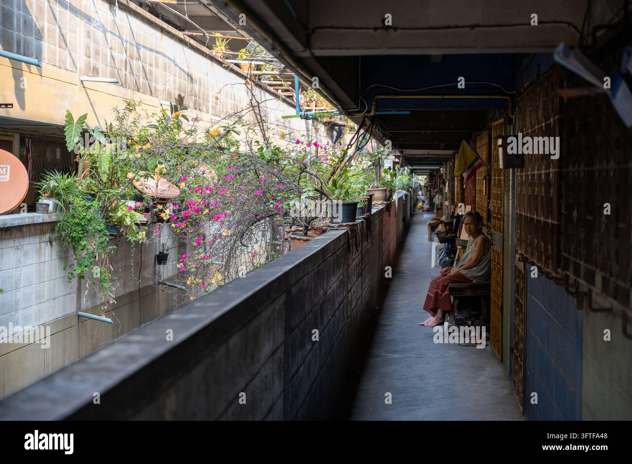 Khlong Toei, Bangkok, Thailand – 19. Januar 2026. Eine ältere Einwohnerin sitzt neben ihrem Eingang in einem engen Gemeinschaftskorridor, der mit Haushaltspflanzen gesäumt ist Stockfoto