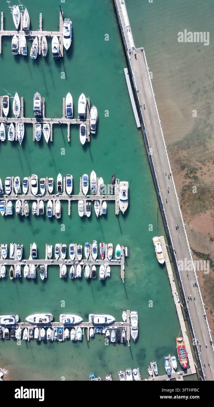Luftaufnahme von Torquay Harbour mit zahlreichen Yachten und Motorbooten, die an den Marinapier in Torquay, England, Großbritannien, festgemacht sind. Stockfoto
