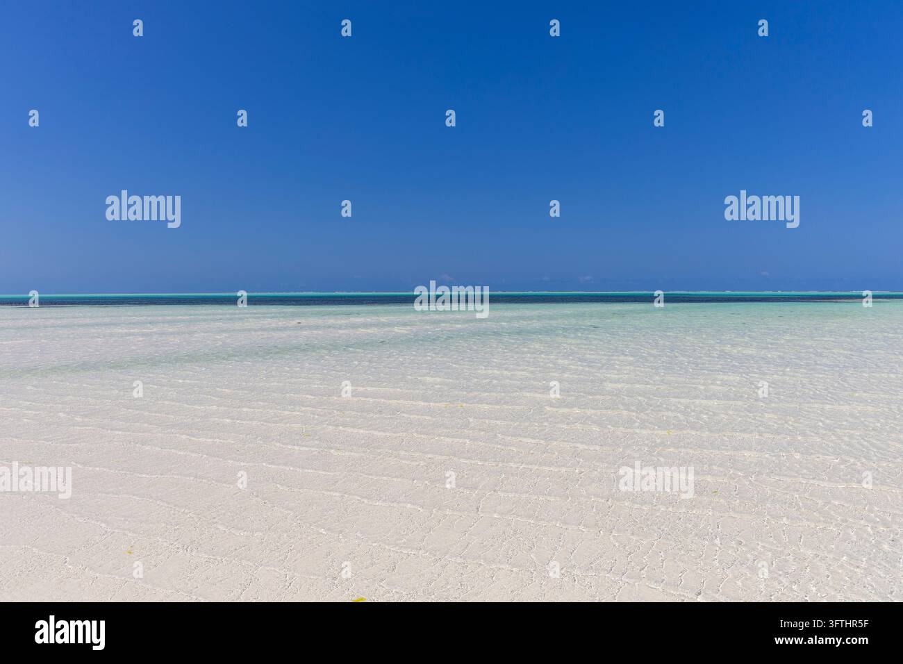 Flaches türkisfarbenes Wasser, das bei Ebbe über eine weite weiße Sandfläche unter einem wolkenlos blauen Himmel fließt, mit dem Riff, Jambiani, Tansania Stockfoto