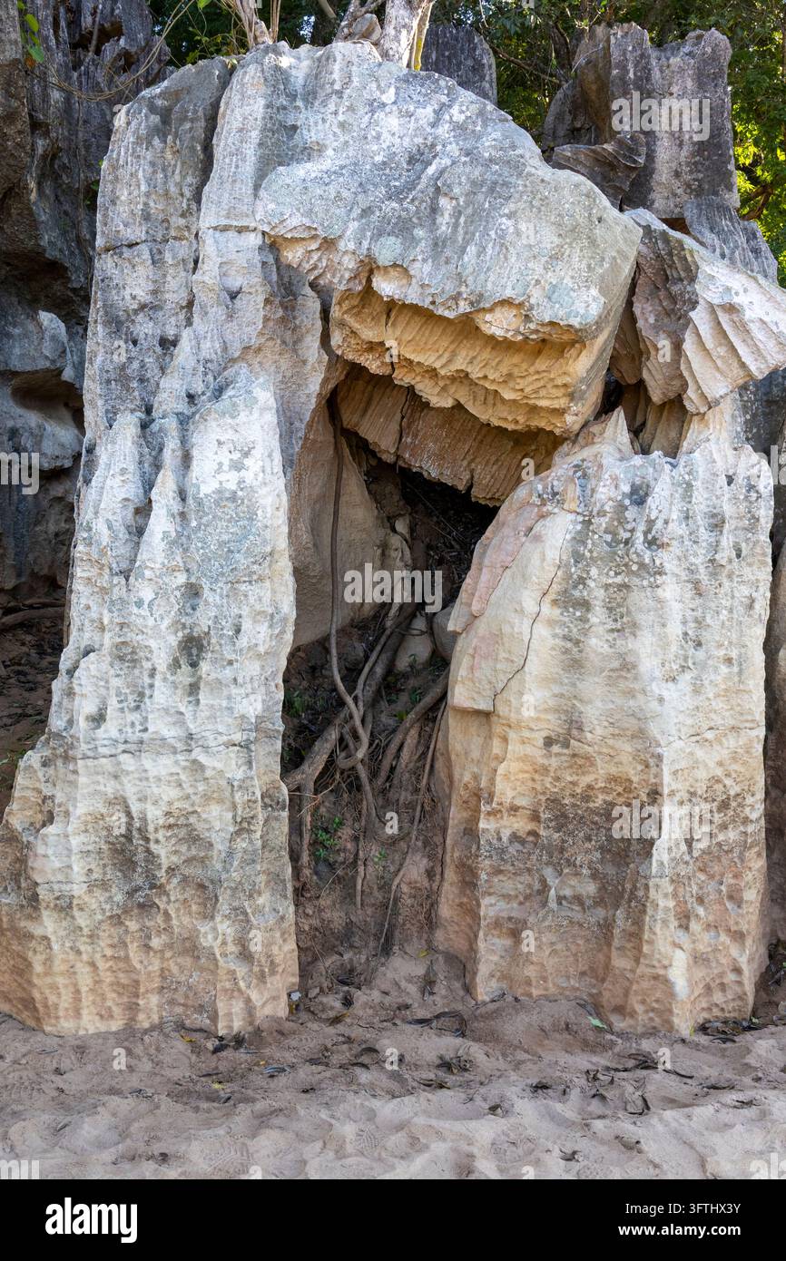 Natürlicher Kalksteinbogen, eingerahmt von aufragenden Tsingy-Pinnakeln mit verworrenen Baumwurzeln, die in die Öffnung hängen, Melaky, Petit Tsingy, Madagaskar Stockfoto