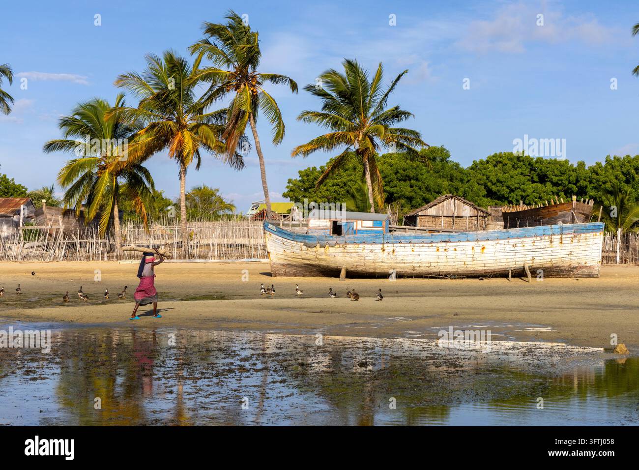 Vezo-Frau trägt Feuerholz auf dem Kopf an einem alten Holzboot und Enten am Strand vorbei, Menabe, Belo sur Mer, Madagaskar Stockfoto