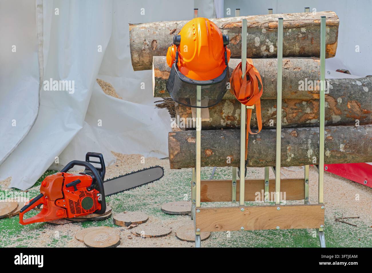 Orangen Helm mit Schild und Ohrschützer-Schutzausrüstung, Holz mit Benzin-Kettensäge schneidend, Holzfäller-Ausrüstung Stockfoto