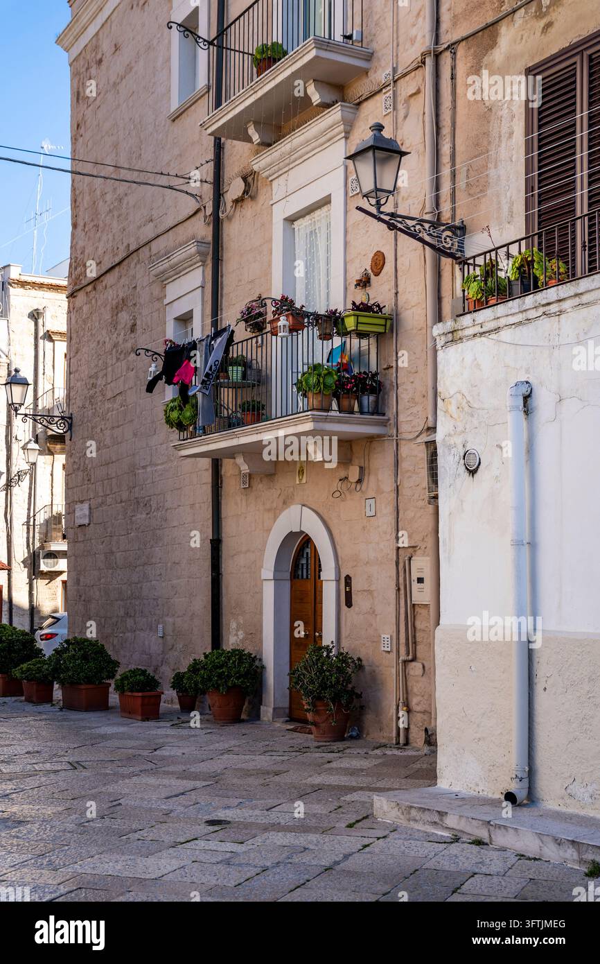 Eine ruhige, enge Straße in Bari Vecchia (der Altstadt von Bari) namens Strada Santa Teresa delle Donne, mit einer blumigen Terrasse, in Bari, Apulien, Italien Stockfoto