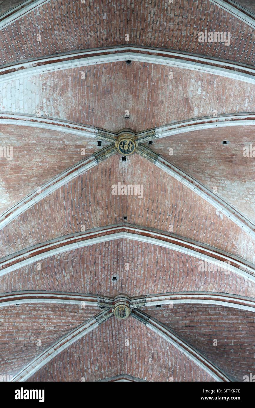 Kathedrale von Auxerre. Nahaufnahme der gotischen Gewölbe mit freiliegender Mauerziegelverkleidung und gemeißelten Schlusssteinen, die die hohe Decke schmücken. Auxerre, Frankreich. Stockfoto