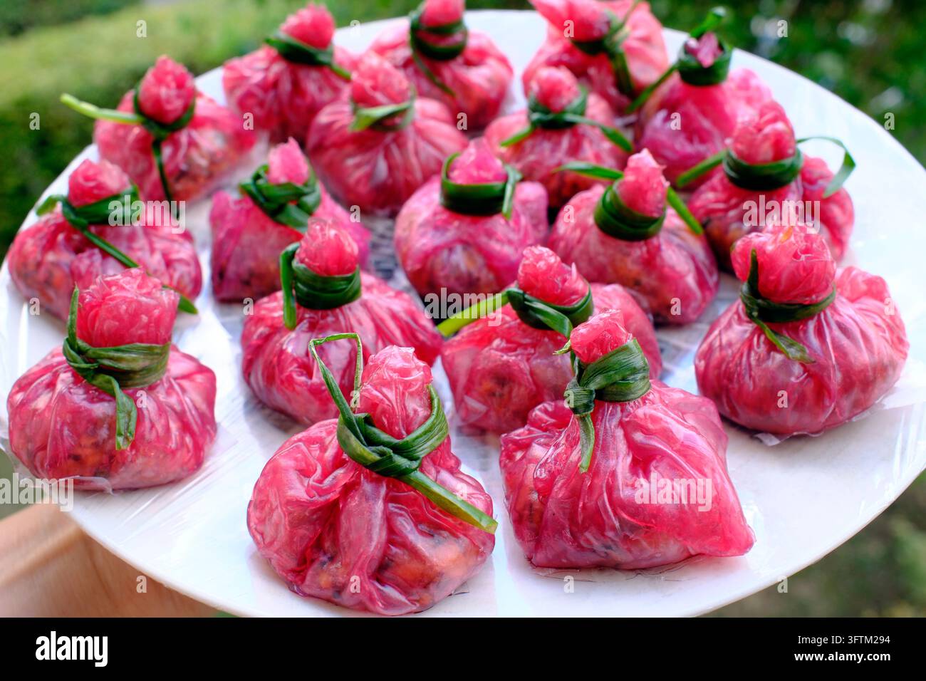 Diese eleganten Dim-Sum-Taschen, gefüllt mit freilaufendem Huhn, schön rosa gefärbt und zu einem Knoten gebunden, sind ein köstlicher Happen auf einem weißen Teller Stockfoto