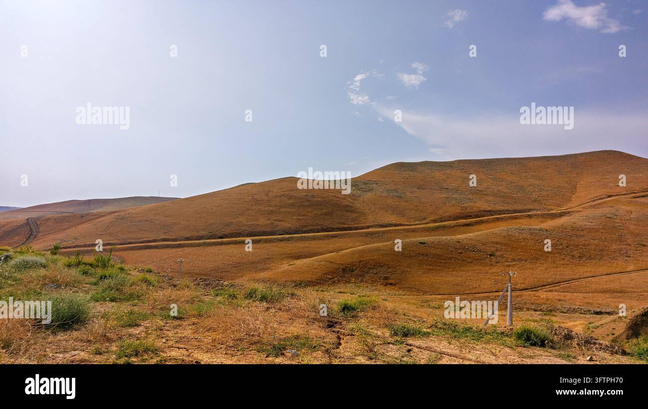 Rundliche Hügel, bedeckt mit trockenem, goldenem Gras unter einem klaren blauen Himmel. Spärliche grüne Vegetation ziert den Vordergrund. Sanfte Neigung führt zum fernen Horizont. Sunli Stockfoto
