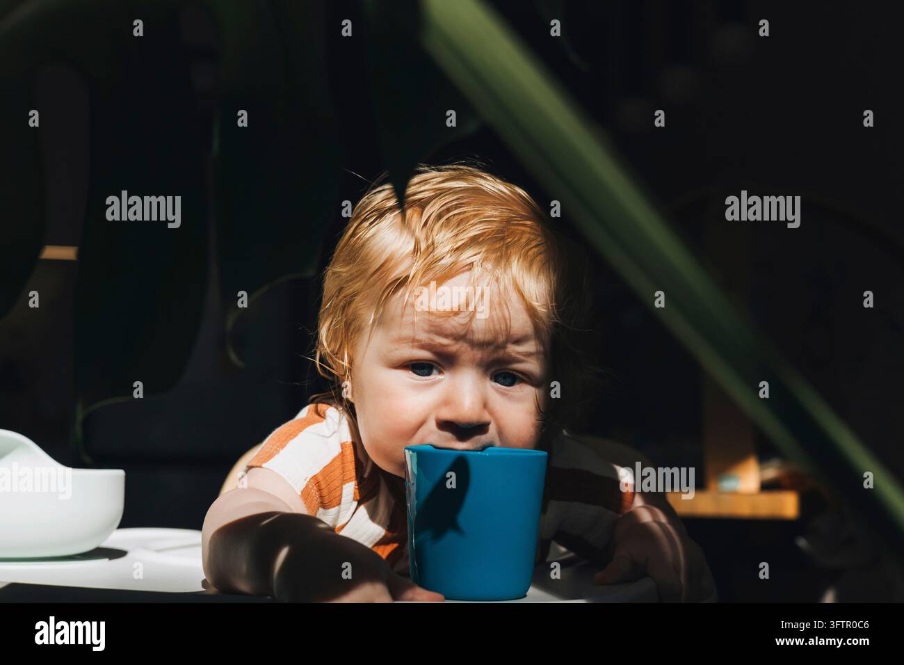 Baby lernt während der Mahlzeit aus einer Tasse zu trinken Stockfoto