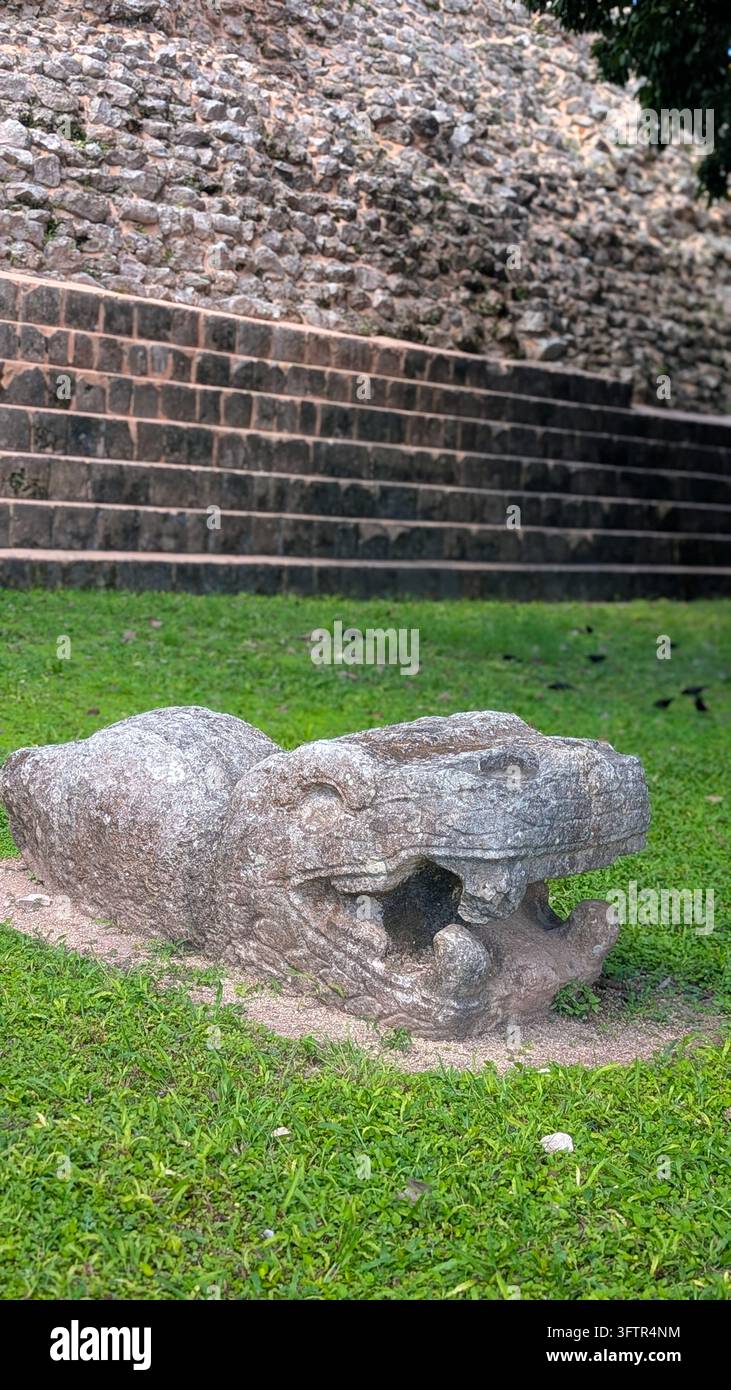 Altes geschnitztes Maya-Steinartefakt liegt auf Gras neben einer historischen Steinmauer an der archäologischen Stätte Chichen Itza in Yucatan, Mexiko Stockfoto