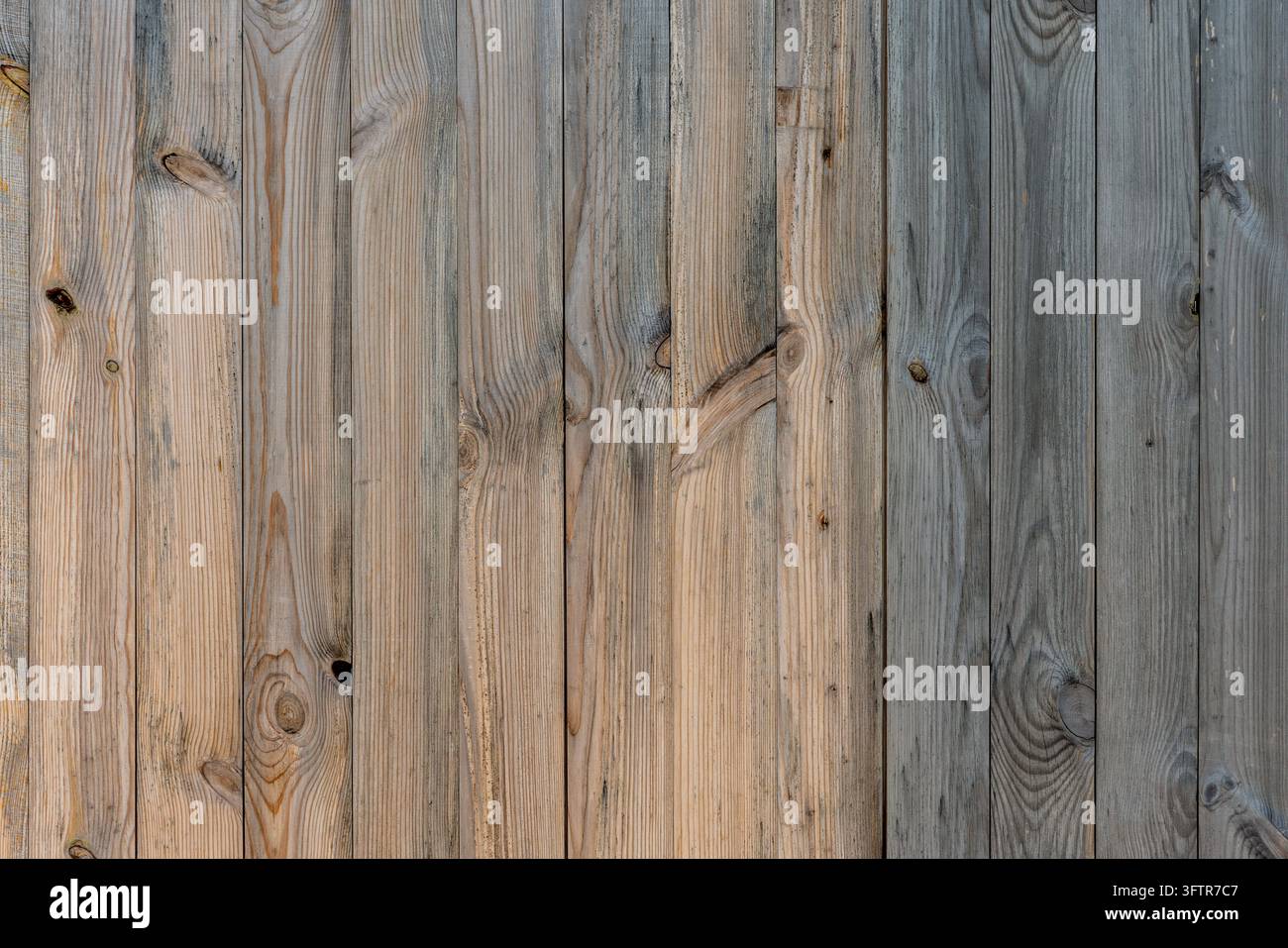 Vertikale verwitterte natürliche Holzplanken-Textur-Hintergrund mit Astlöchern Stockfoto
