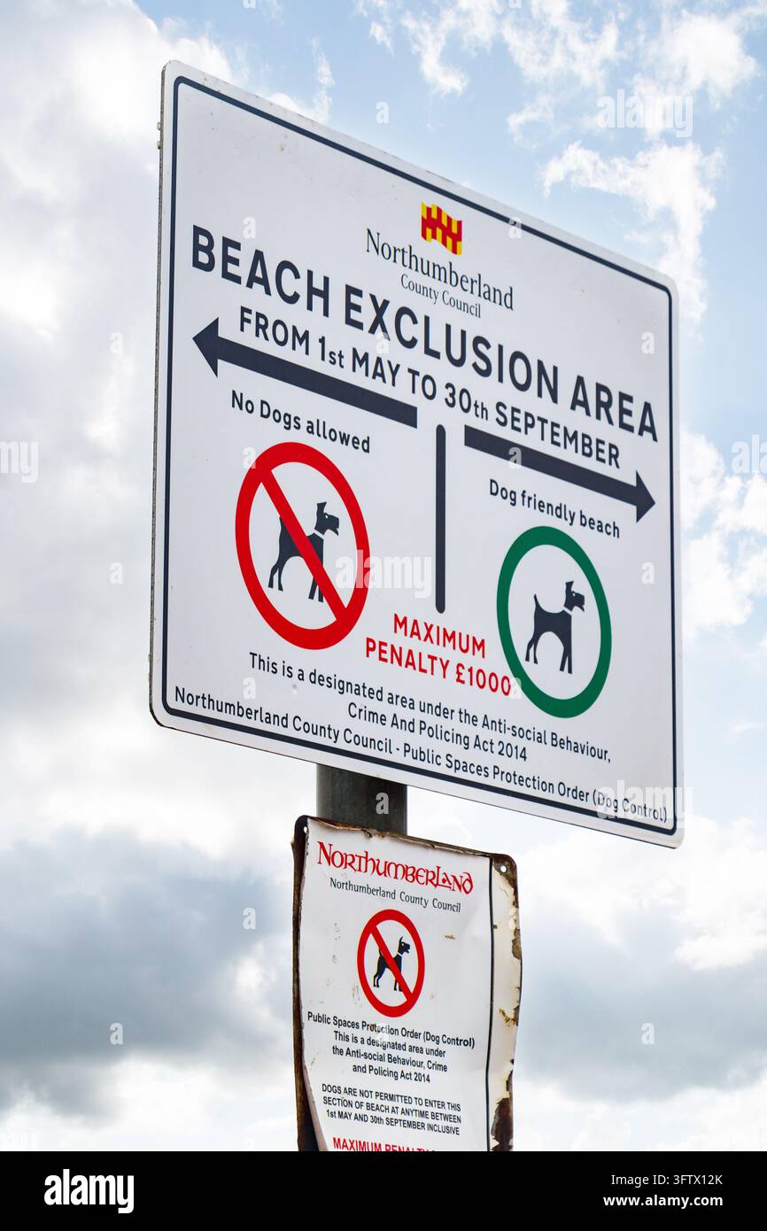 Weißes Schild des Northumberland County Council, das das Strand-Sperrgebiet und die Regeln für Hunde anzeigt Stockfoto
