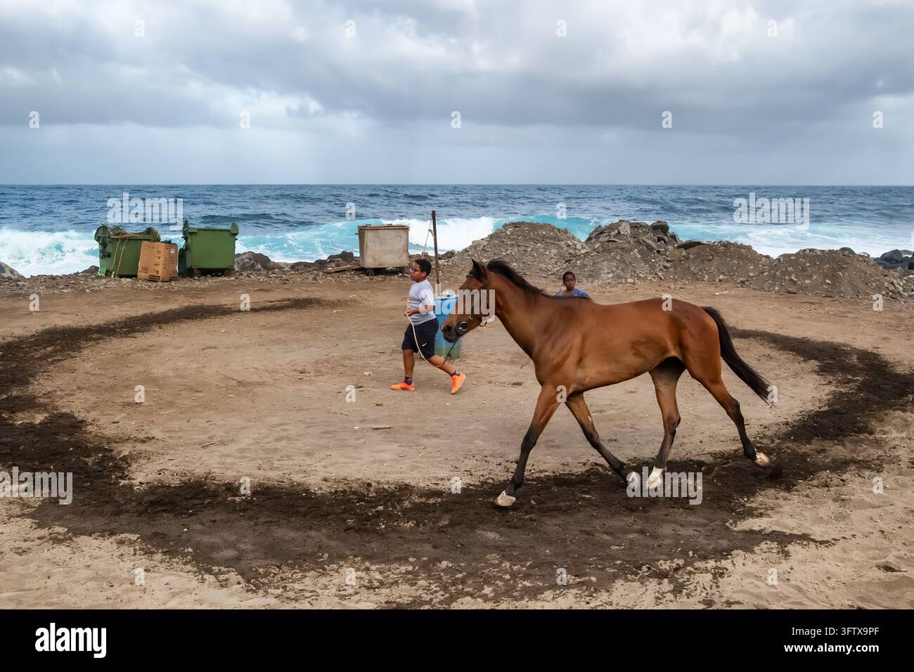 Junge trainiert Pferd auf Sandbahn in der Nähe des Ozeans in Ribeira Grande Stockfoto