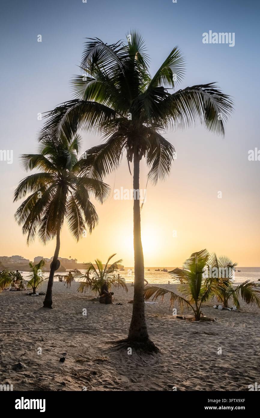 Silhouette von Palmen am Strand während eines goldenen Sonnenuntergangs in Tarrafal, Kap Verde Stockfoto