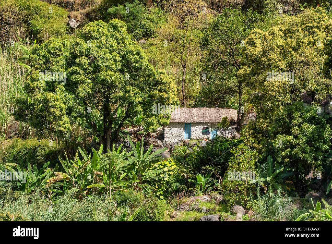 Traditionelles Steinhaus versteckt zwischen dichter tropischer Vegetation Stockfoto