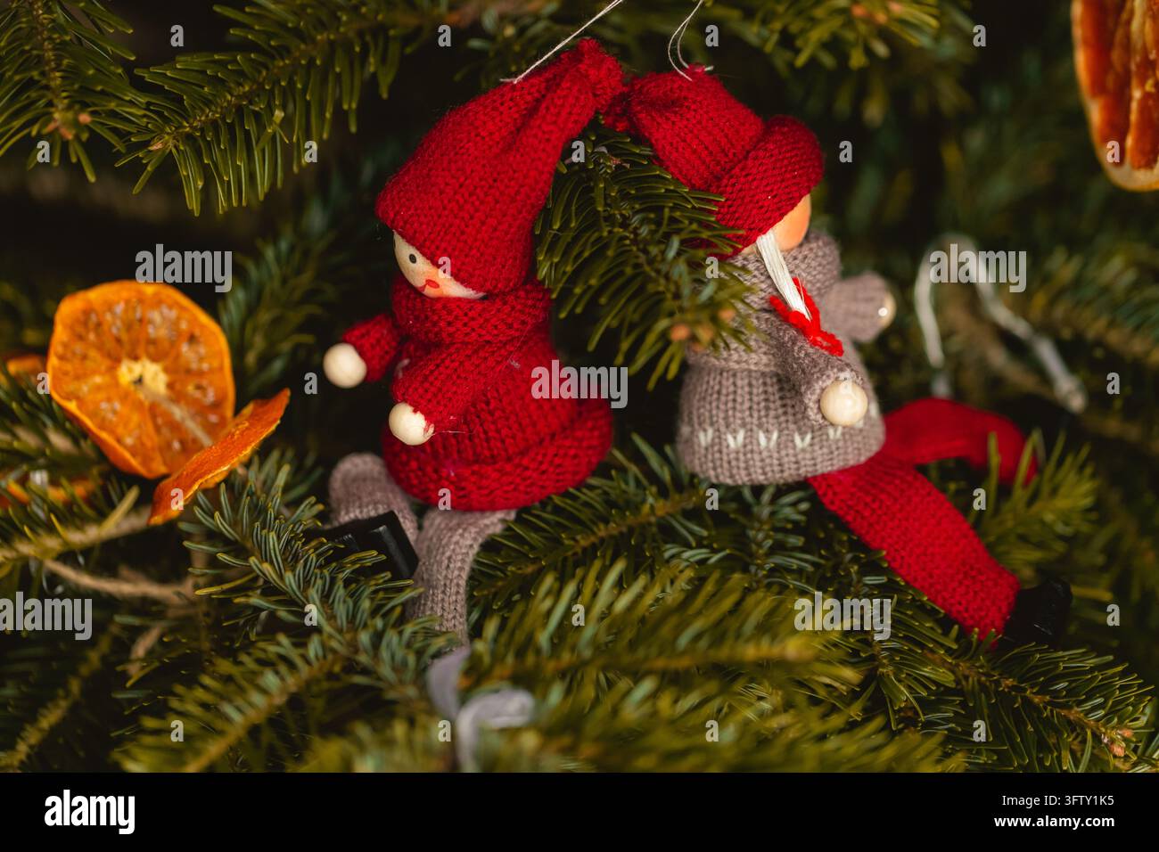 Handgemachte gestrickte Zwerg-Ornamente in roter und grauer Kleidung hängen an einem grünen Weihnachtsbaum neben getrockneten Orangenscheiben. Stockfoto