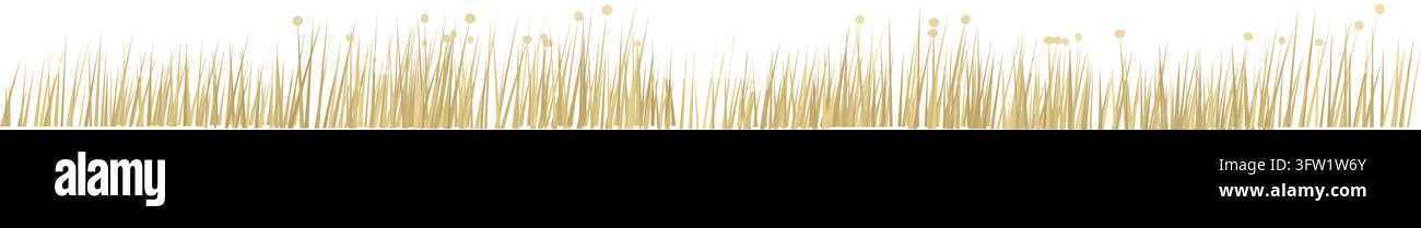 Vektorillustration einer trockenen Grasbordüre mit gelben Wiesenpflanzen und Wildblumen, isoliert auf weißem Hintergrund mit leerem Kopierraum Stock Vektor