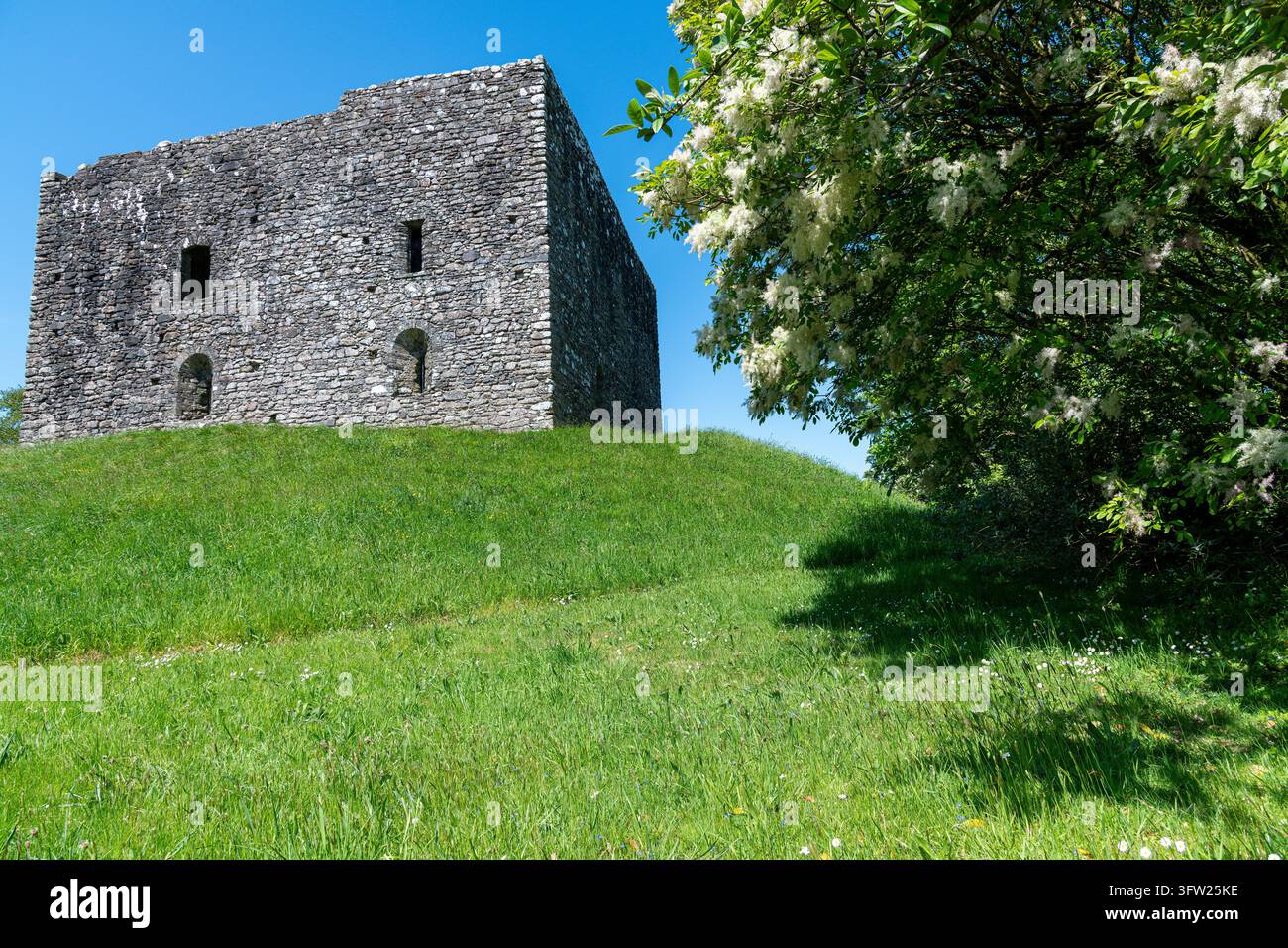 Lydford Castle und Saxon Town in Devon, UK Stockfoto