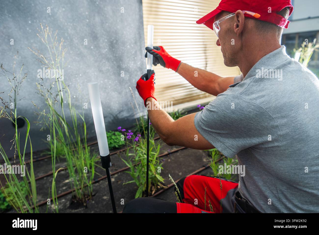 Ein Arbeiter mit roten Handschuhen montiert eine schlanke Gartenleuchte mit weißem Diffusor zwischen Ziergräsern neben einer Hauswand. Stockfoto