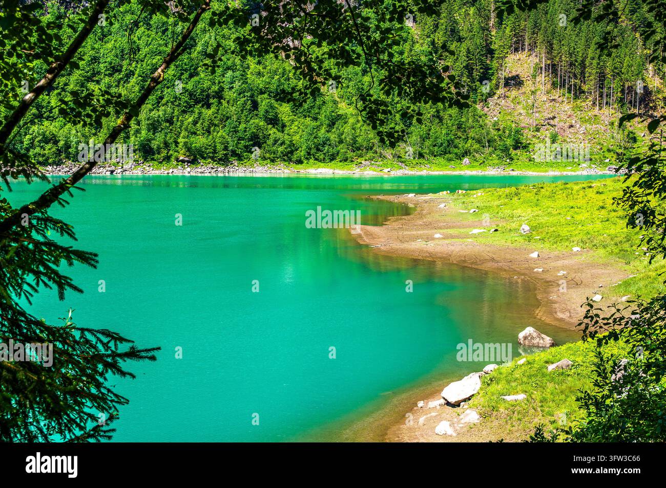 Panoramic view of the turquoise waters of Speicher Stillup reservoir near Mayrhofen in the Zillertal Alps, Tyrol, Austria. The clear mountain lake is surrounded by green forest, rocky shore and steep mountain slopes on a sunny summer day. Stockfoto
