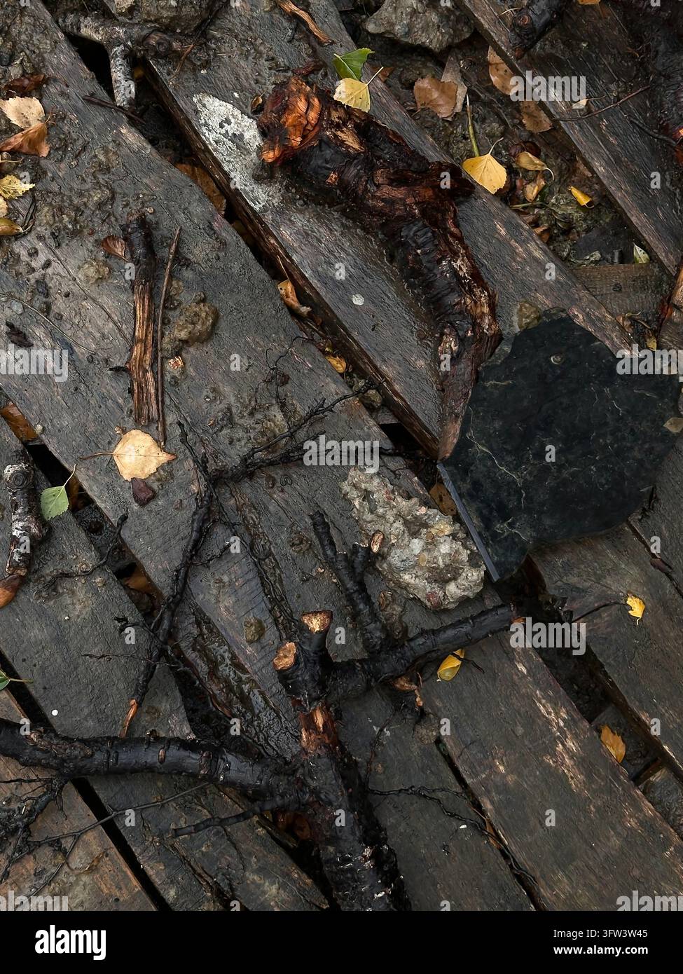 Verbrannte Holzplanken und verkohlte Äste auf dem Boden, Feuernachwirkungen-Textur. - Smartphone-aufgenommenes Stockfoto