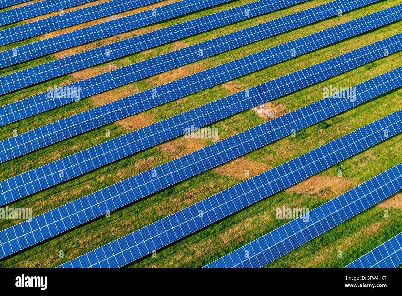 Eine Luftaufnahme zeigt blaue Solarpanele, die in langen diagonalen Reihen über ein Graskfeld installiert sind. Die Panele bilden ein sich wiederholendes geometrisches Muster. Stockfoto