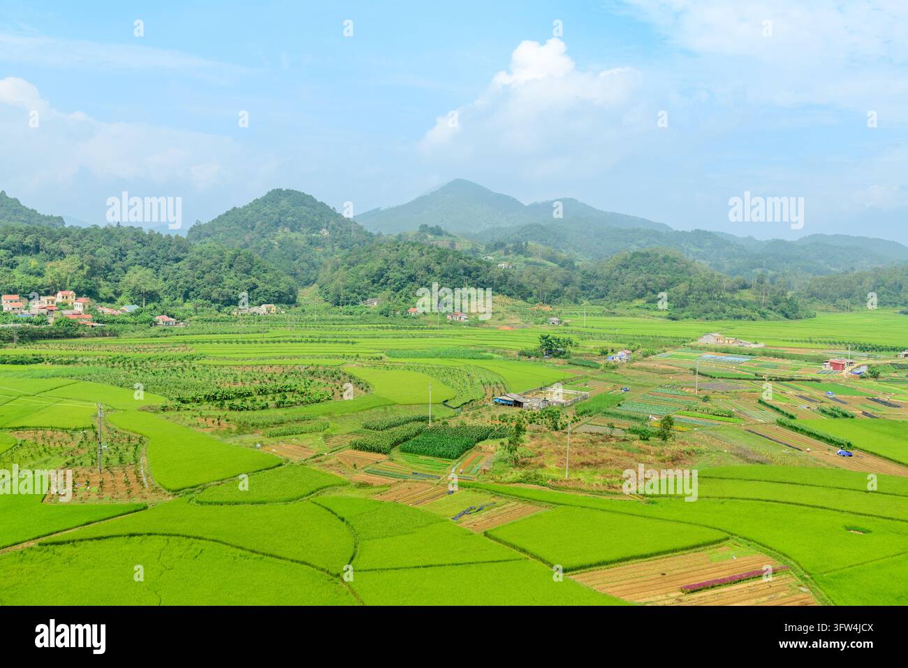 Hellgrüne Reisfelder und bewirtschaftete Parzellen füllen ein ländliches Tal, mit bewaldeten Hügeln und Bergen unter einem blauen Himmel mit Wolken. Stockfoto