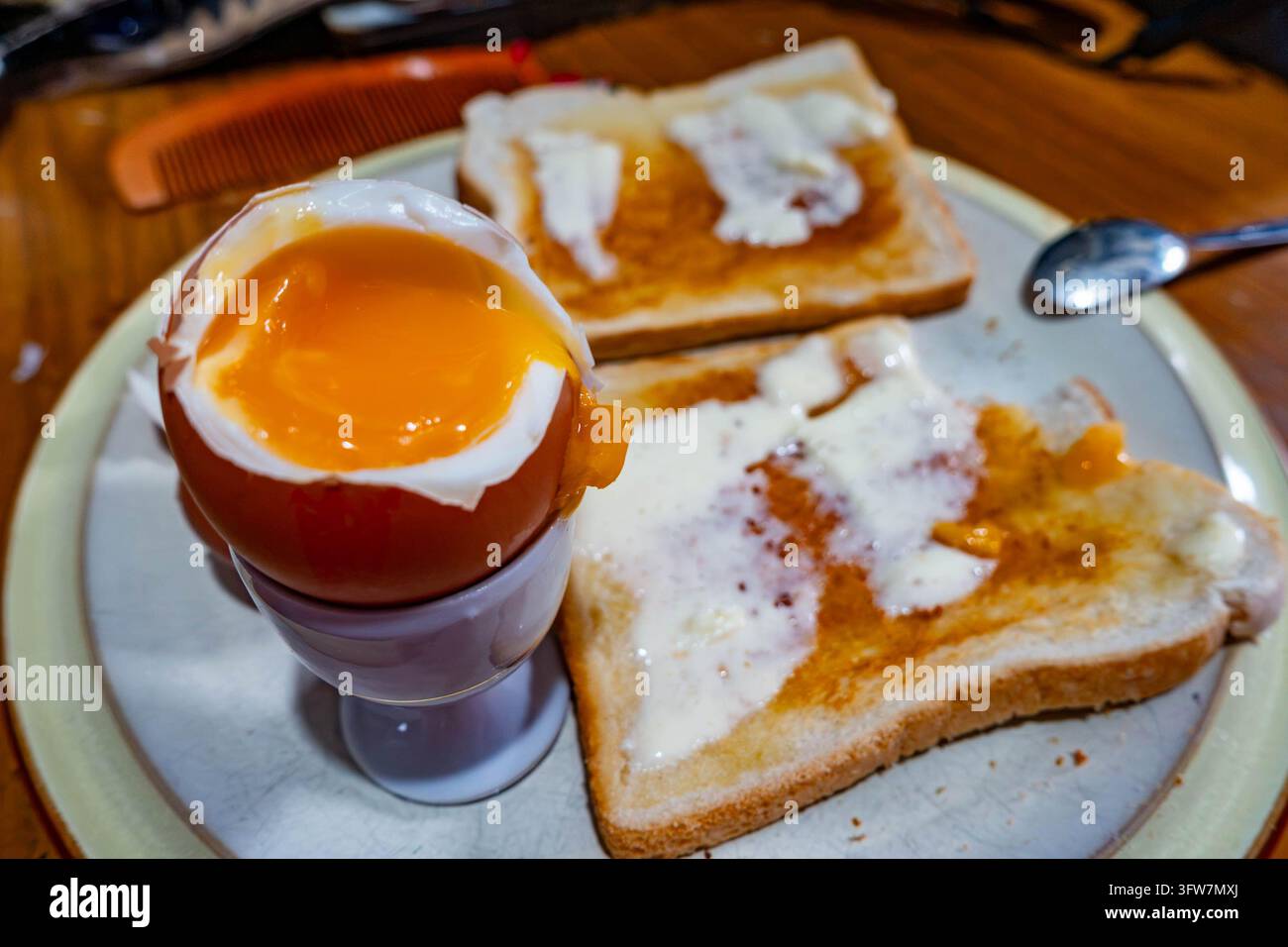 Ein weich gekochtes Ei serviert mit gebuttertem Toast zum Mittagessen Stockfoto