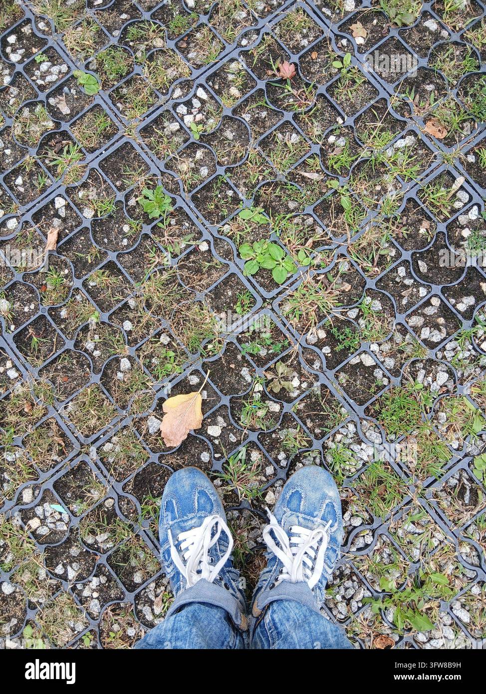 Eine Hochwinkelaufnahme von den Füßen einer Person in Bluejeans, die auf einem umweltfreundlichen Parkplatz mit Plastikrasengitter steht. Stockfoto