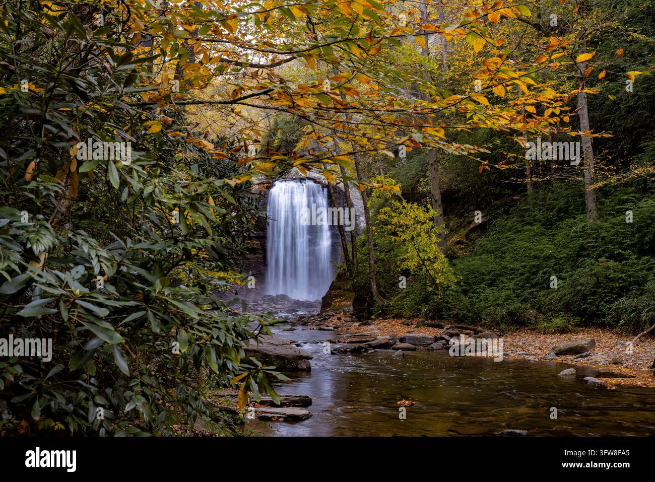 Looking Glass Falls unter goldenem Herbstlaub, Pisgah National Forest in der Nähe von Brevard, North Carolina, USA Stockfoto
