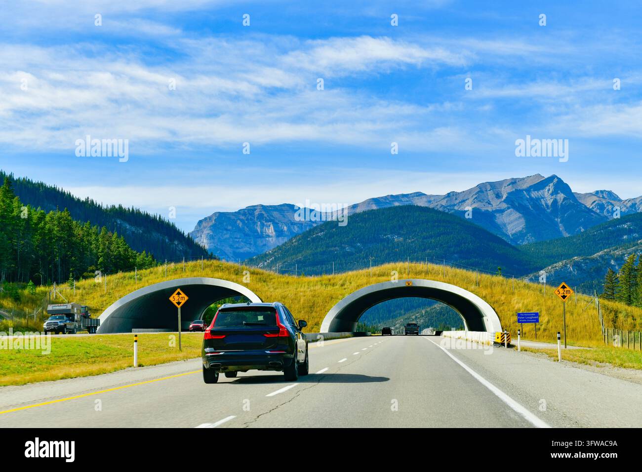 Panoramatische Ansicht von Autos, die auf dem Trans-Canada-Highway in Richtung des majestätischen Cascade Mountain unter einem strahlend blauen Himmel im Banff-Nationalpark, Alberta, fahren Stockfoto